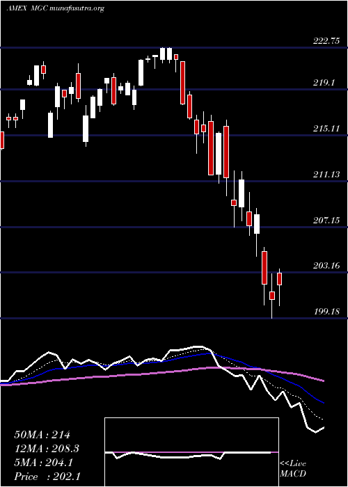  Daily chart Megacap300