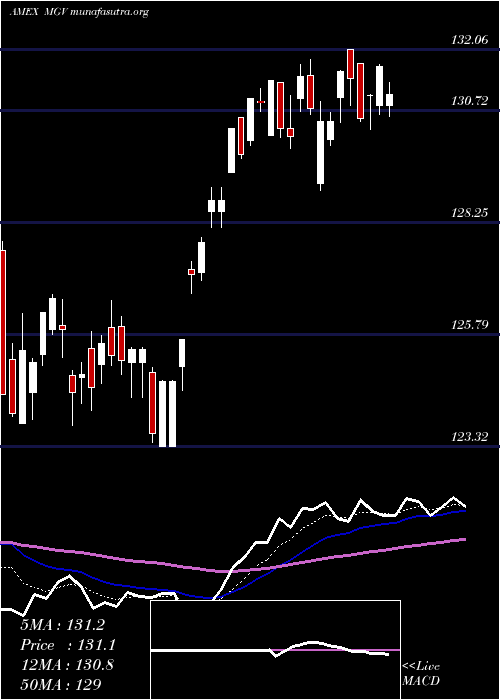  Daily chart Megacap300