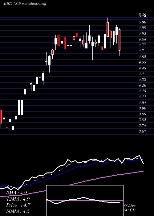  Daily chart NewGold