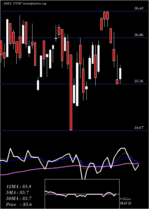  Daily chart PacerTrendpilot