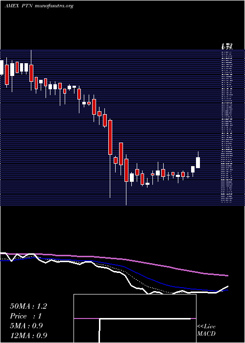  Daily chart PalatinTechnologies