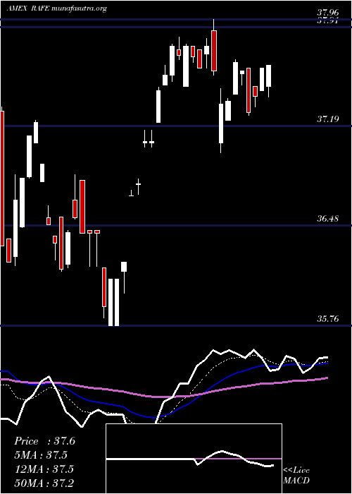  Daily chart PimcoRafi