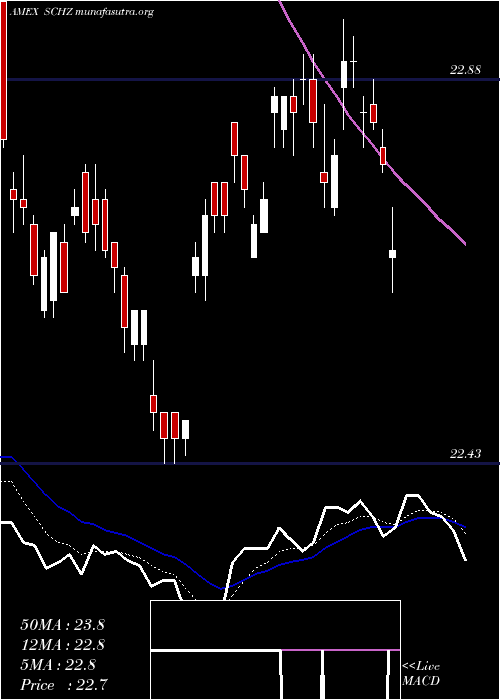  Daily chart SchwabUs