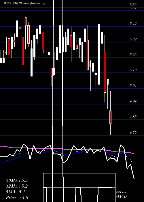  Daily chart Etracs2x