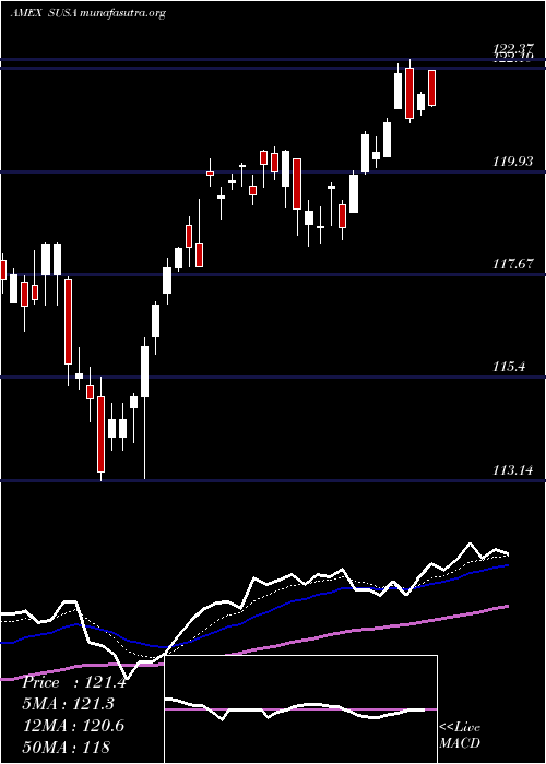  Daily chart UsaEsg