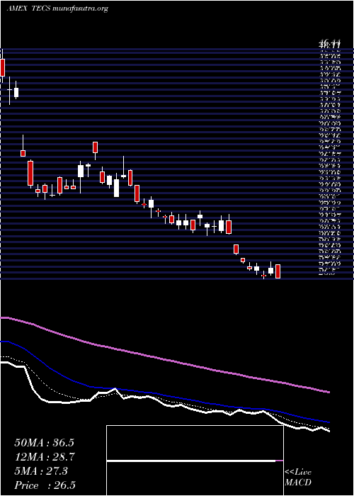  Daily chart TechnologyBear