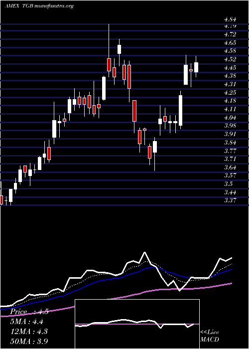  Daily chart TasekoMines