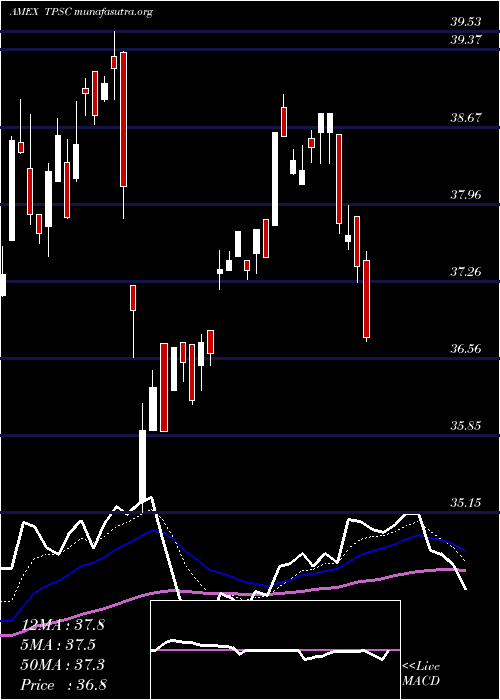  Daily chart TimothyPlan