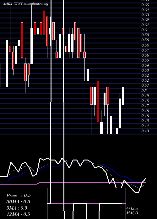  Daily chart XtantMedical