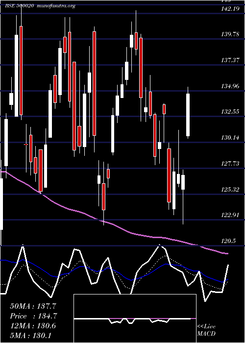  Daily chart BomDyeing