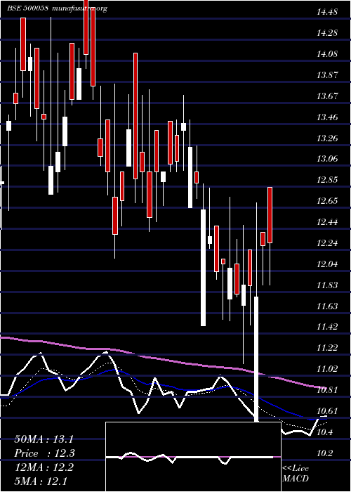  Daily chart BiharSponge
