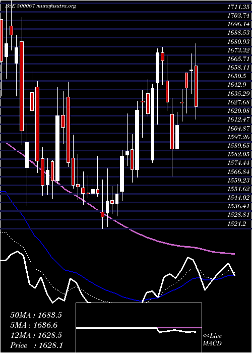  Daily chart BlueStar