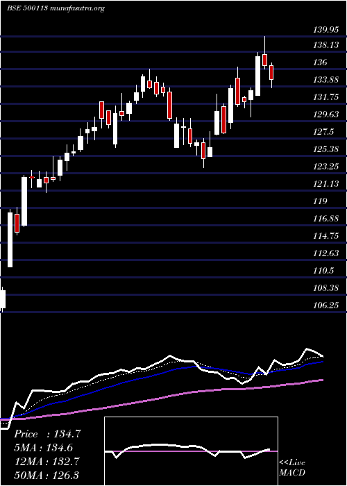  Daily chart SteelAuth