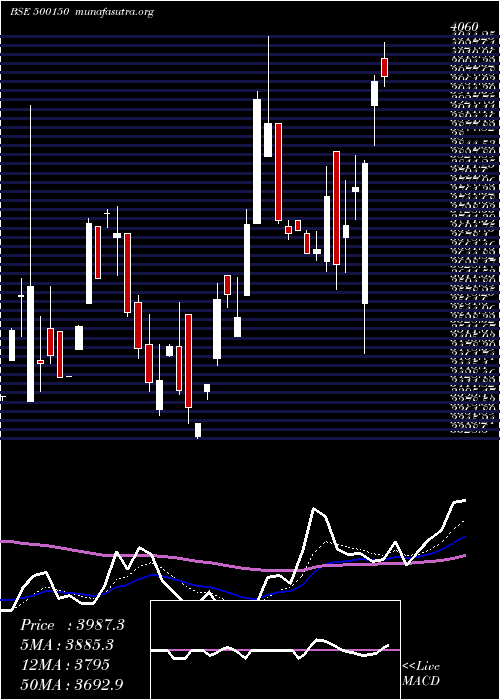  Daily chart FosecoIndia