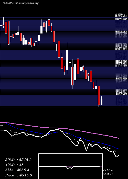  Daily chart GodfreyPh