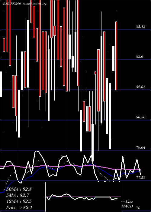  Daily chart MargoFin