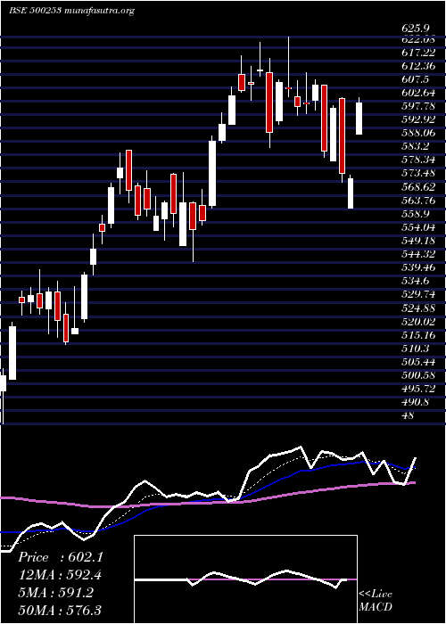  Daily chart LicHous