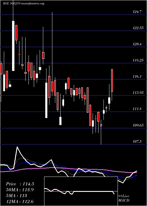  Daily chart LykaLabs