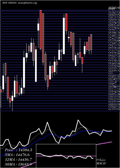  Daily chart MahScooter