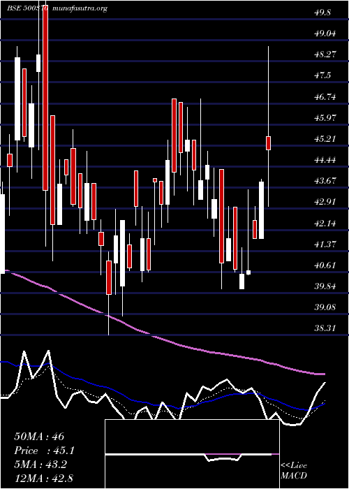  Daily chart SaloraInt
