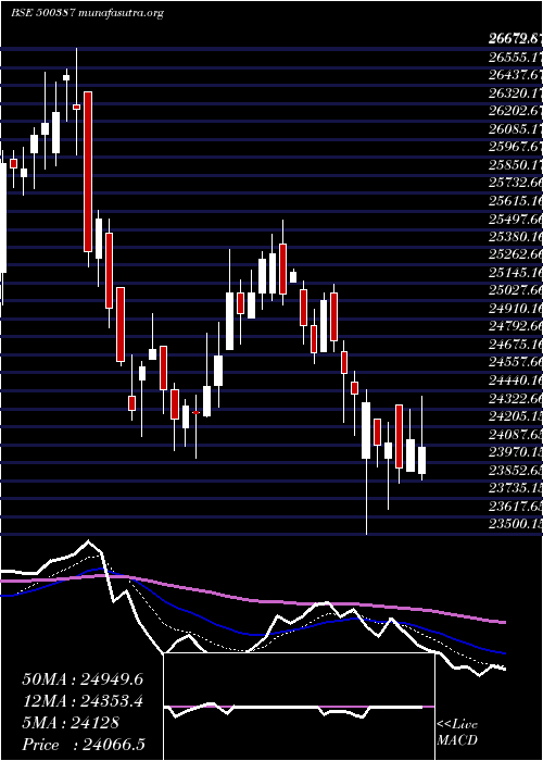  Daily chart ShreeCement