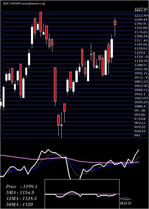  Daily chart BharatForge