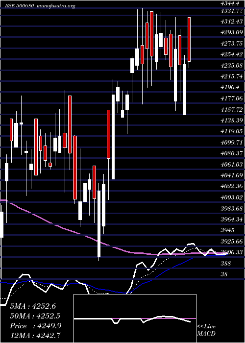  Daily chart Pfizer