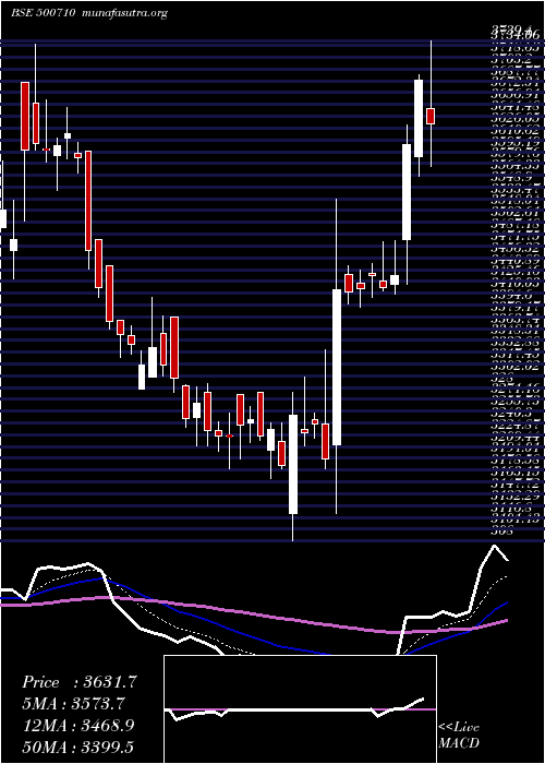  Daily chart Akzoindia