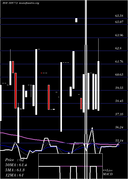  Daily chart ModellaWool