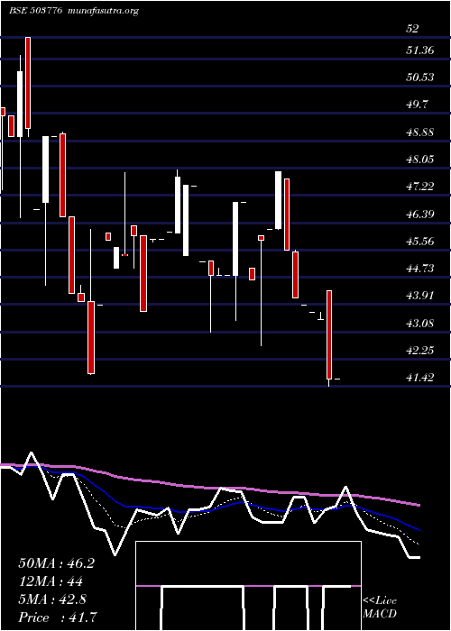  Daily chart Modipon