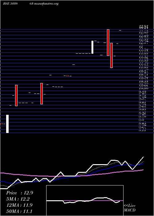  Daily chart ShreeMfg