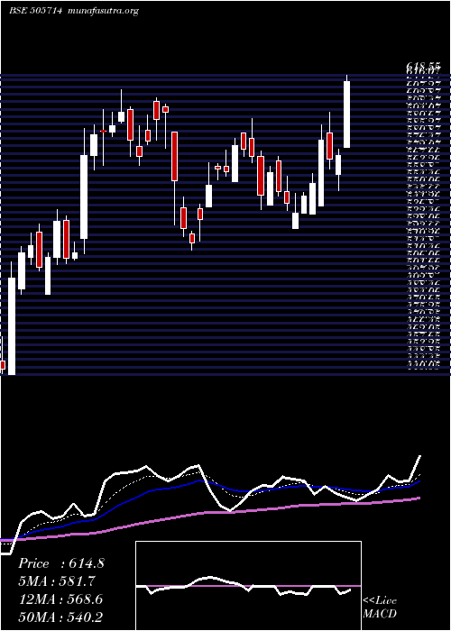  Daily chart GabrielI