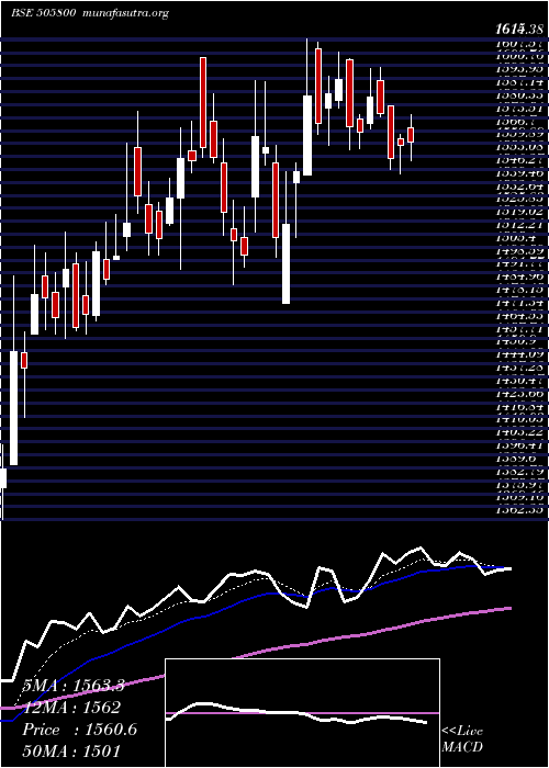  Daily chart RaneHoldin