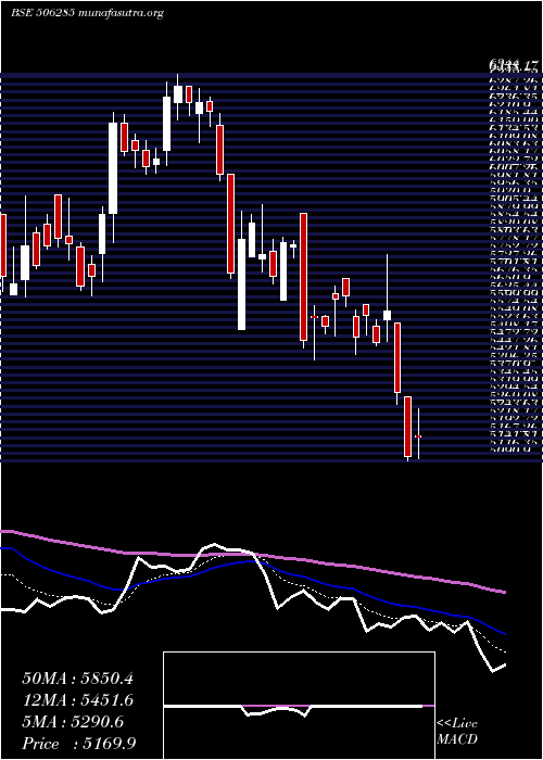  Daily chart BayerCrop