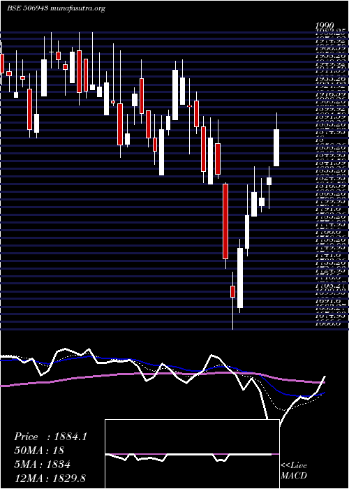  Daily chart JB