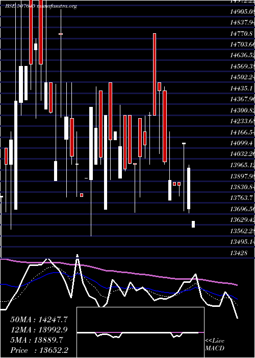  Daily chart Polson