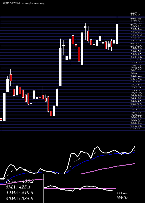  Daily chart VipIndus