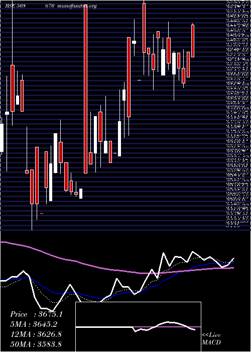  Daily chart Neelamalai