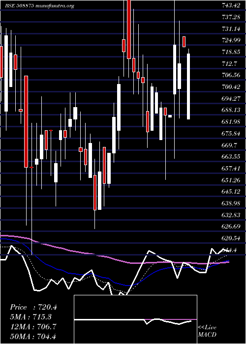  Daily chart Nitincast