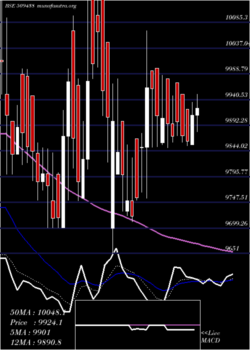  Daily chart BenaresHot