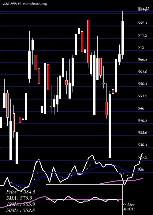  Daily chart BergePaint