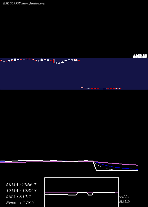  Daily chart Garfibres