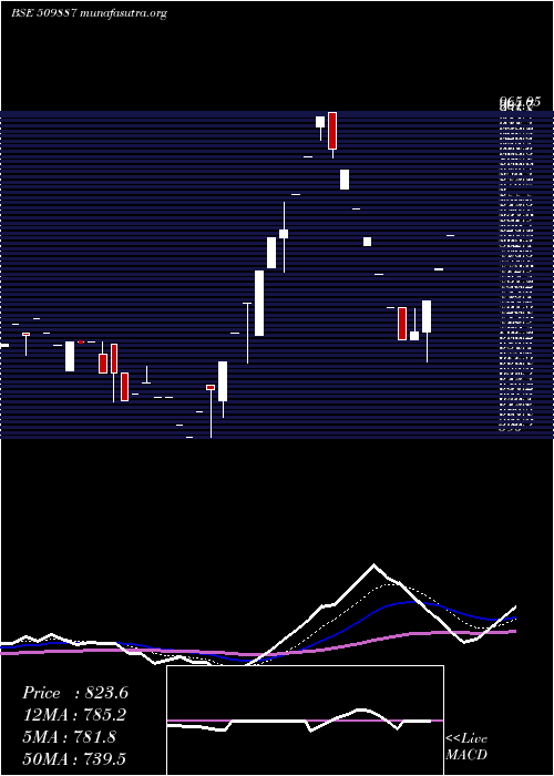  Daily chart SinnarBidi