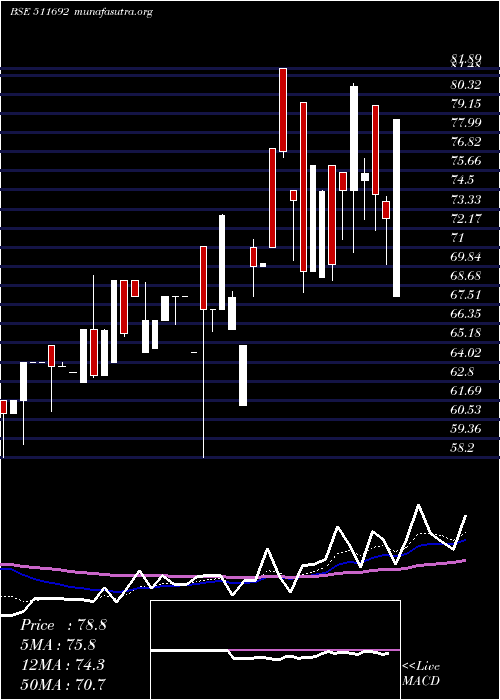  Daily chart AjconGlobal