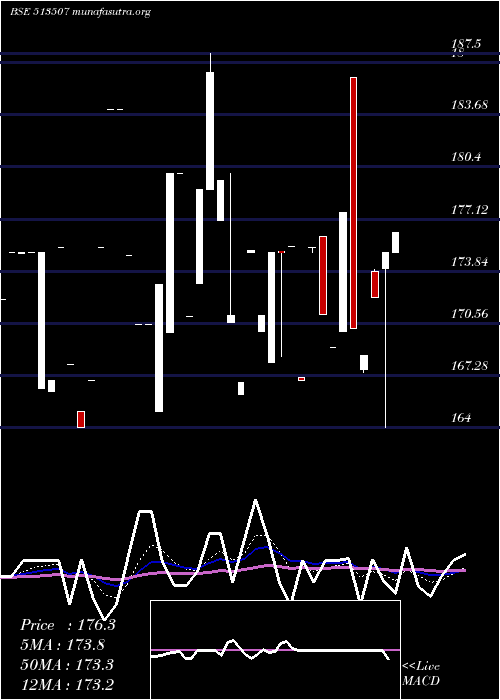  Daily chart GujContain