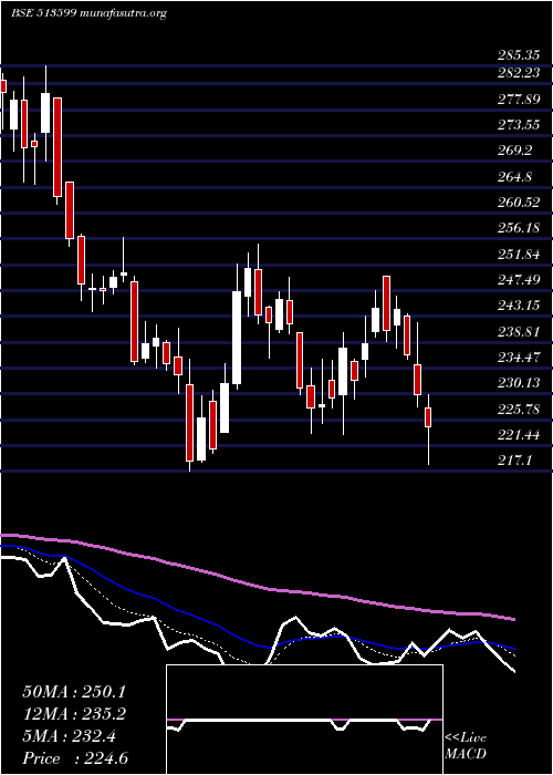  Daily chart HindCopper