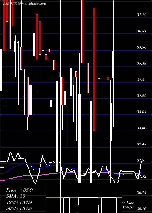  Daily chart SolidStone