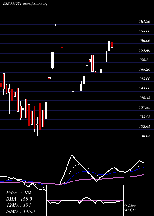  Daily chart AarveeDenim