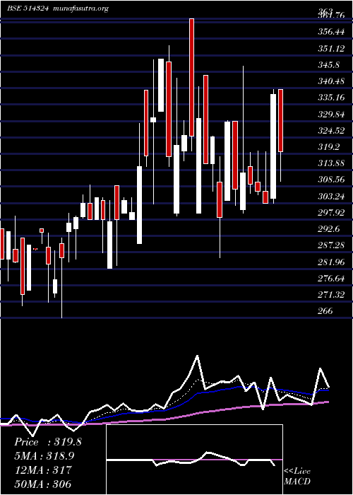  Daily chart OmnitexInd