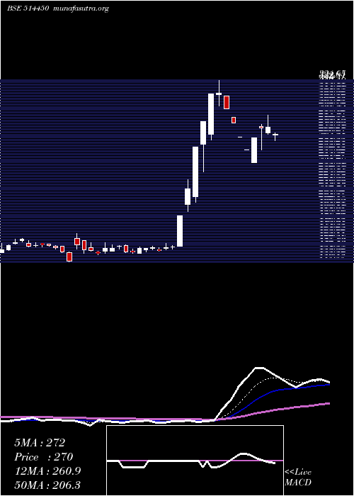  Daily chart MahaRubtech